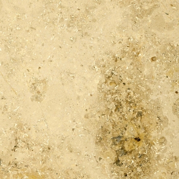 Sockelleisten, Jura Marmor Gelb, poliert, 8,0 x 1,0 cm